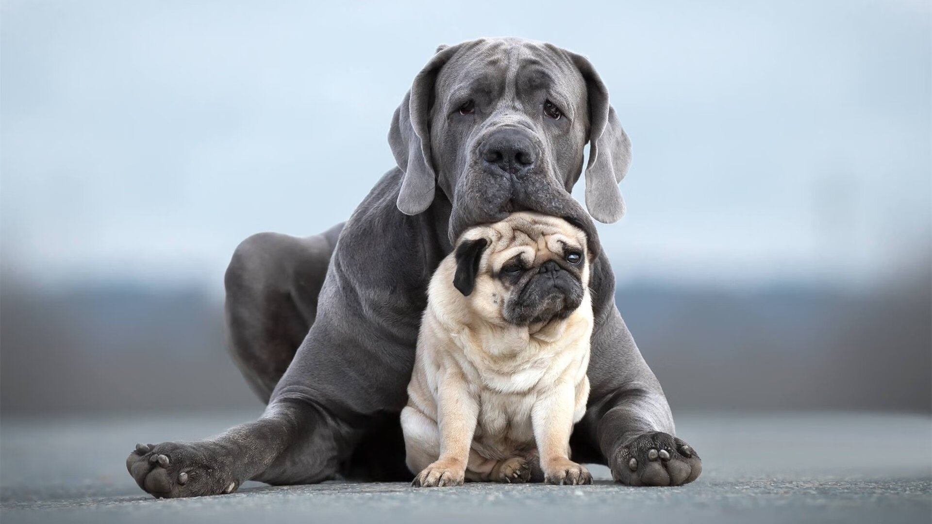 _虚拟运动体验馆:未来体育娱乐新高度_,虚拟体育是什么