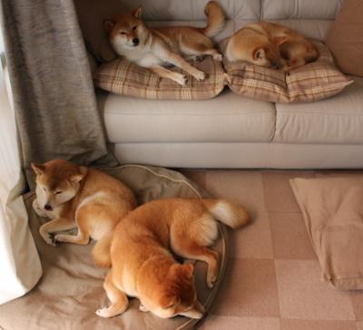 “嗨翻全场:最热血的比赛场面盘点”,热血比赛文案