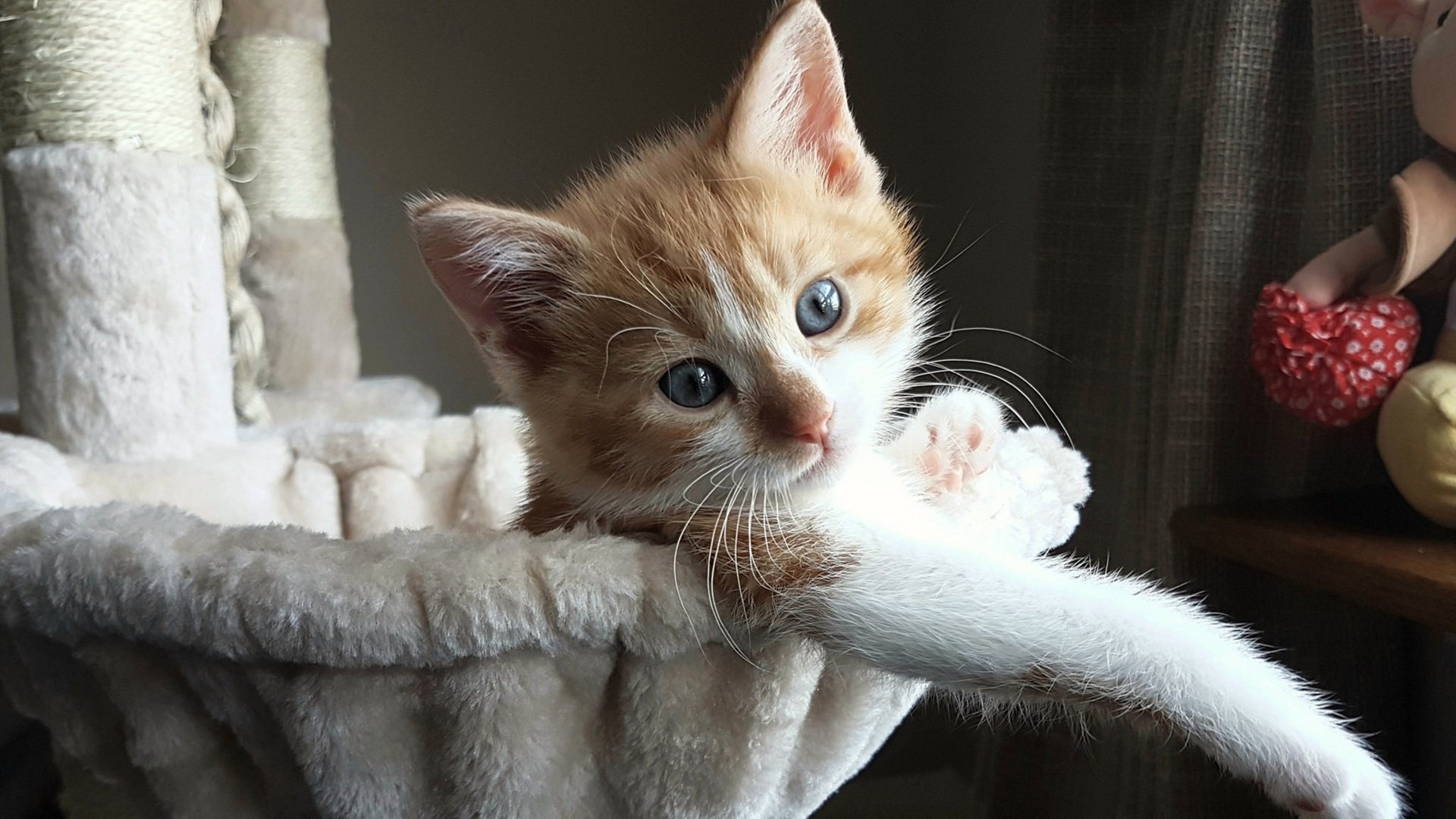 切尔西调整阵型，战术革新带来新活力，切尔西2021赛季阵型图